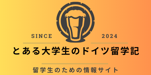 とある大学生のドイツ留学記